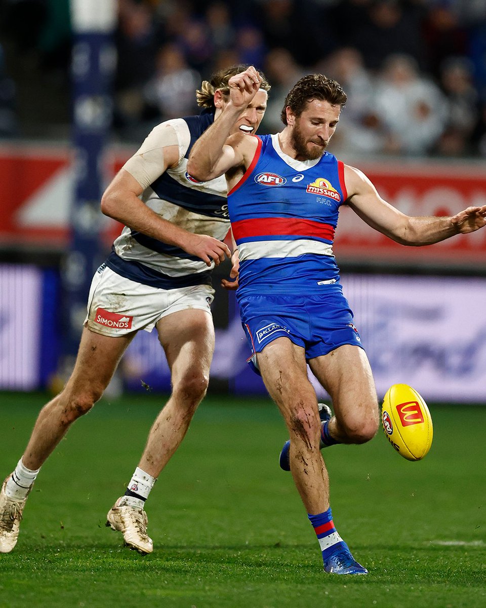 Western Bulldogs tweet media