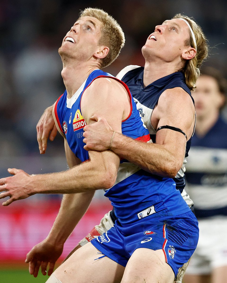 Western Bulldogs tweet media