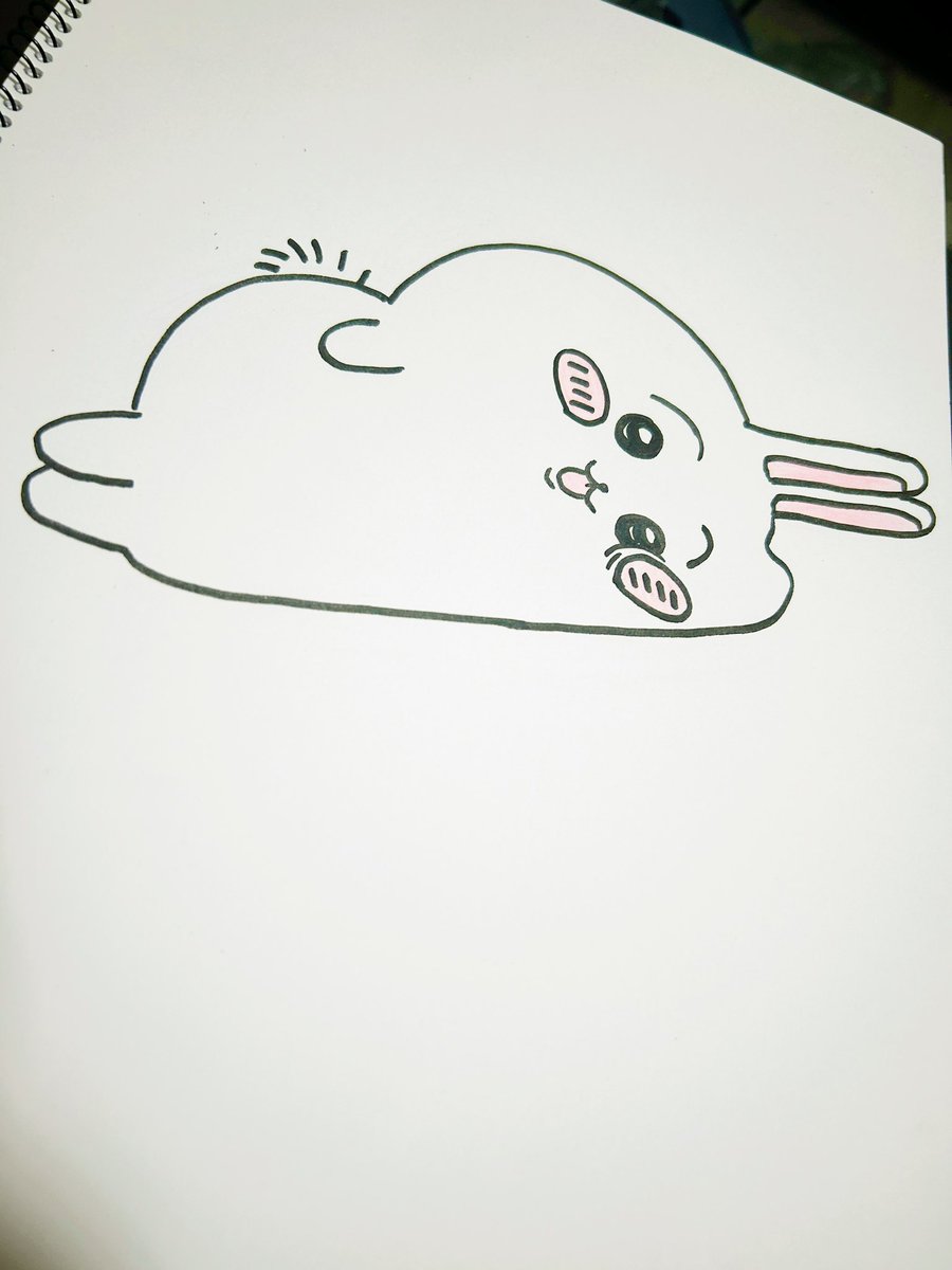a50405115's tweet photo. このうさぎすき！！ https://t.co/N80hrwnMw1