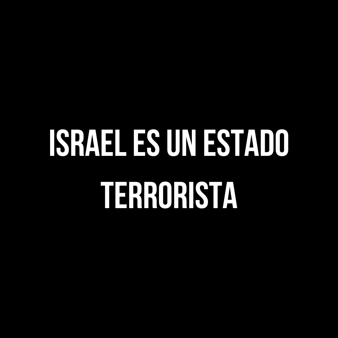 NoaGresiva's tweet photo. No dejes de hablar de Palestina. https://t.co/vDWwdIzHqc