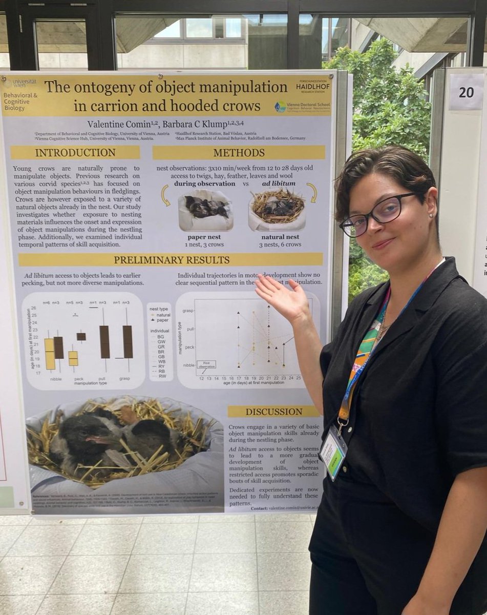 Valentine Comin tweet media