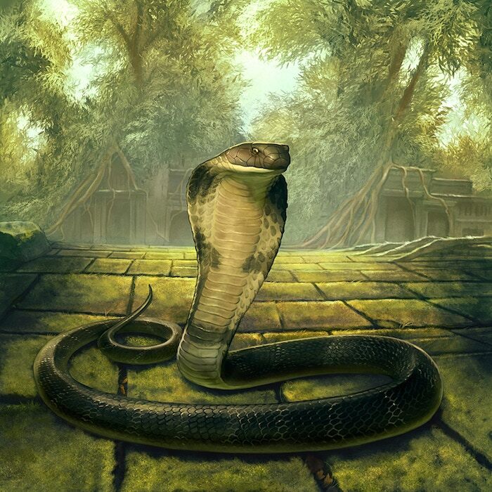 From Cambodia, with love... 💚 🐍