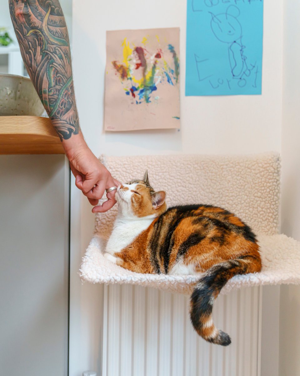 Just got a cat? Sign up to our new cat emails and get advice about your cat’s food, when to let them outside, cat behaviours and what resources they’ll need. Sign up here: spr.ly/NewOwnerEmails. Share with a friend or relative who just got a cat. 😺