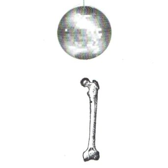 Zeddeee's tweet photo. #ASongOrMovieForUsingYourLegs
Saturday Night Femur https://t.co/QMMmFW6XwG