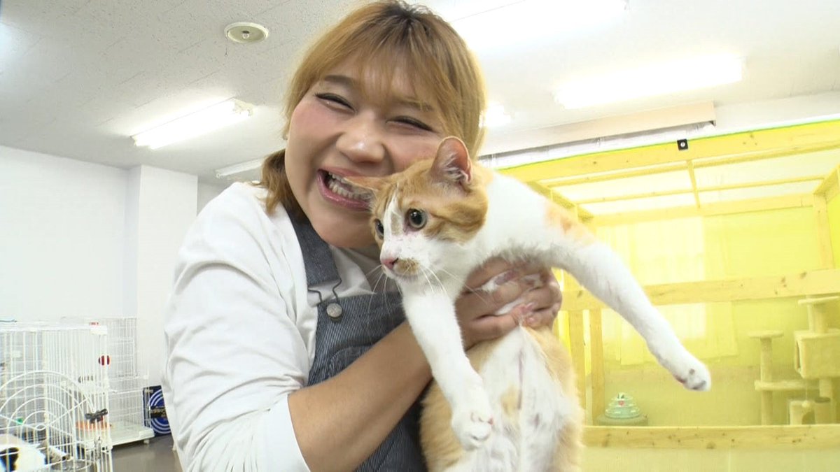 フィービーは #りんごちゃん から 沢山の楽しい時間をもらって 人なれ