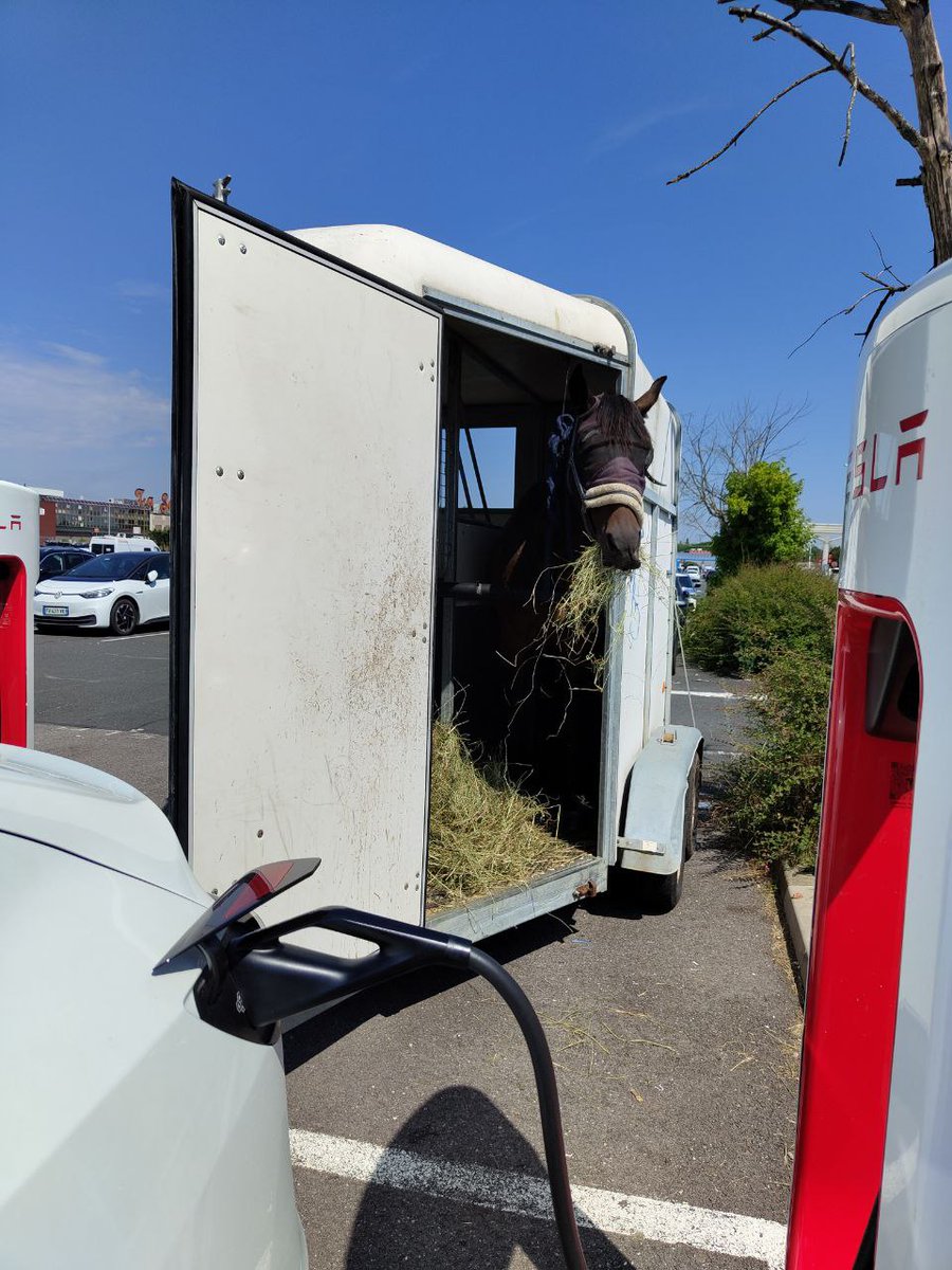 Benjamin Schönfeld Photography tweet media