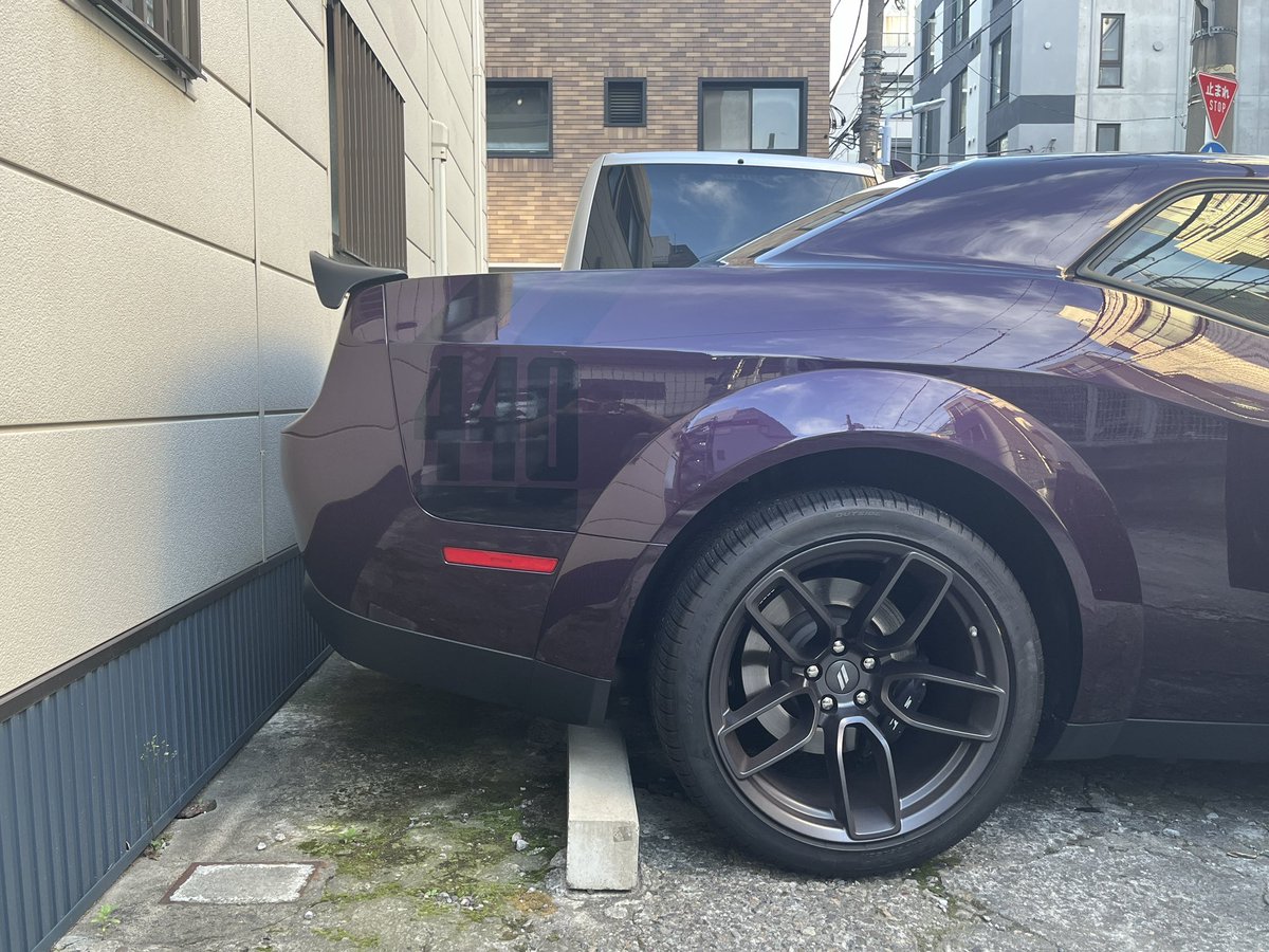 asty1888's tweet photo. ヘルレイズン
ミッドナイトパープルみたいで良い色🟣

#ヘルレイズン　#ヘルレーズン　#hellraisin https://t.co/xNUeqSItOO
