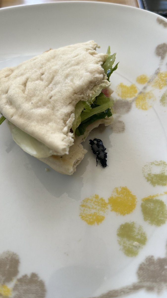 madeleinebarker's tweet photo. @GreggsOfficial this is just disgusting 🤢 https://t.co/jYNGUqG8ob