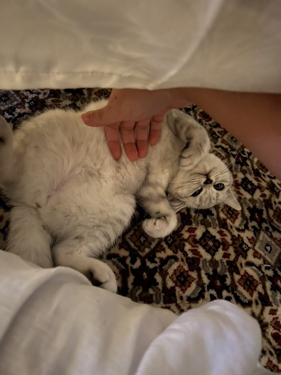 i am obsessed w car frfr