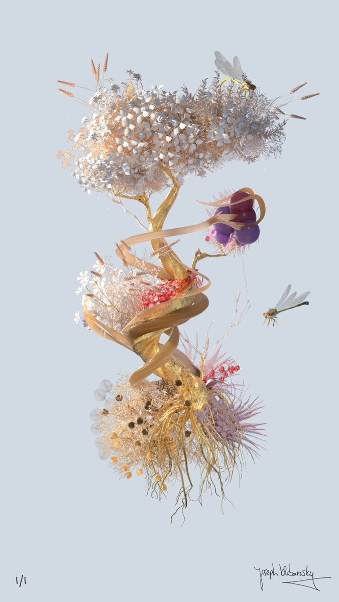 Joseph Klibansky tweet media