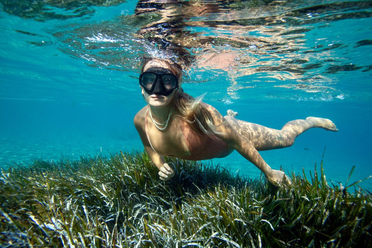 Deniz çayırları beni korkutuyor.
Altımda karanlık bir şey gördüğüm zaman korkuyorum. 
Dokunduğumda hissi ürpertici, tiksiniyorum. 
İçinden ne çıkacağını bilmiyorum, o beni korkutuyor. 
Ya içinden bir şey çıkarsa.!
Ya takılıp nefessiz kalırsam.!
Ayağıma ya diken, miken ya batarsa!