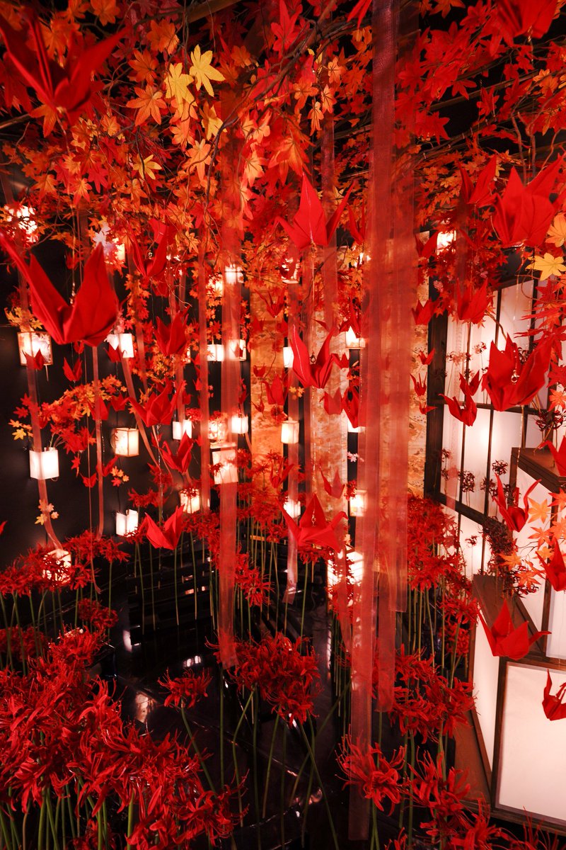 こんばんは、こむやです🐱🌊 黒ブースは現在「水中花」がテーマです