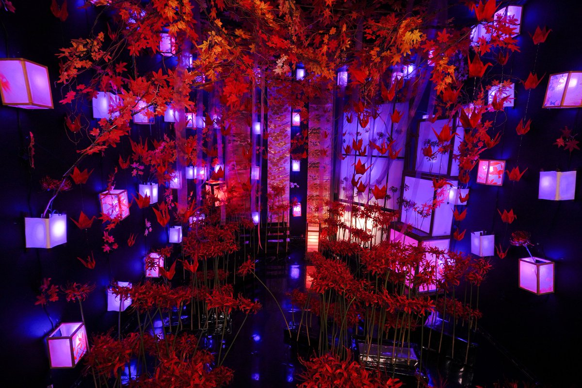 こんばんは、こむやです🐱🌊 黒ブースは現在「水中花」がテーマです