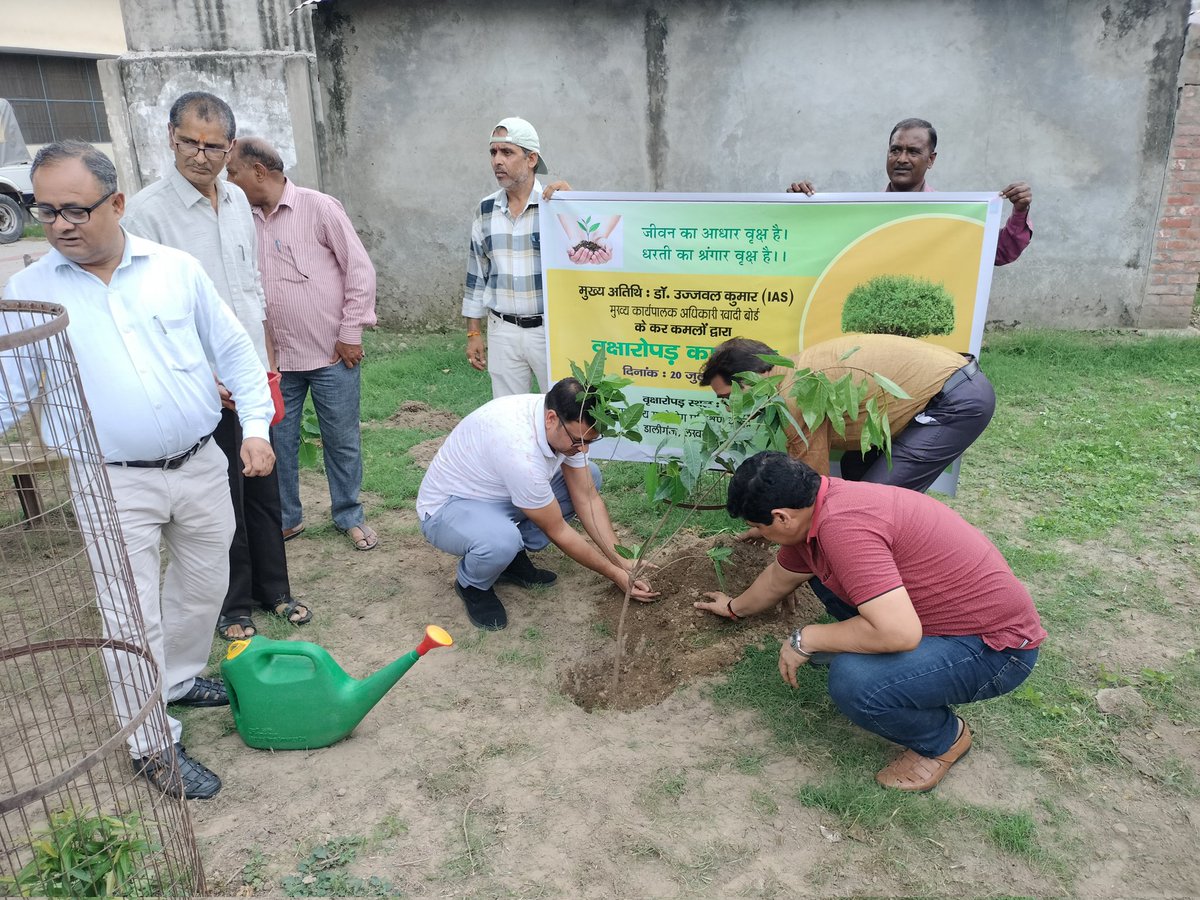 Khadi_UP's tweet photo. आज दिo 20.07.2024 को वृक्षारोपण जन अभियान 2024 "एक पेड़ मां के नाम" के अंतर्गत मुख्य कार्यपालक अधिकारी महोदय @ujjwalkumarIAS द्वारा बोर्ड के मंडलीय ग्रामोद्योग प्रशिक्षण केंद्र डालीगंज लखनऊ में वृक्षारोपण किया गया,इस अवसर पर विभागीय  अधिकारी एवं कर्मचारी उपस्थित रहे। https://t.co/ujUbyWBCOC