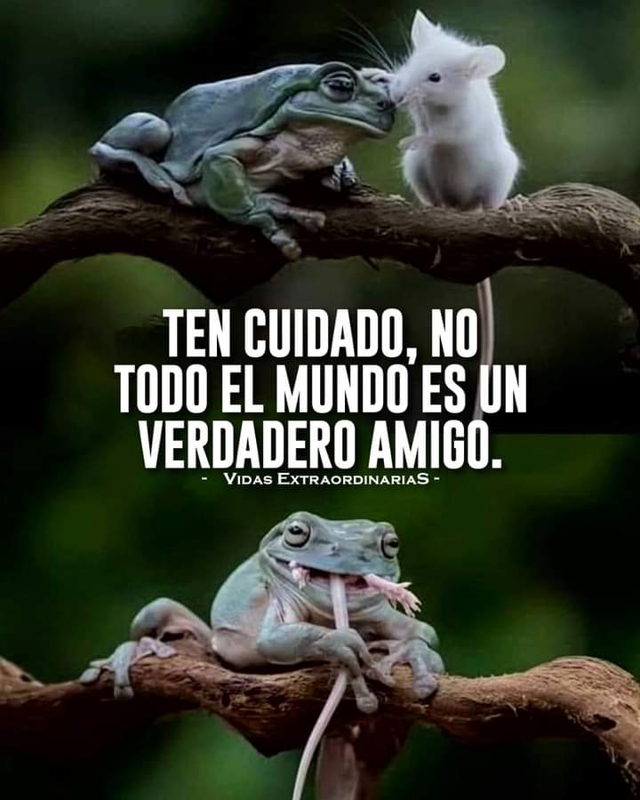 Bojesu's tweet photo. https://t.co/giNCbgHHID