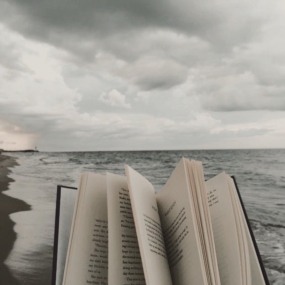 𝐀𝐝𝐫𝐢𝐞𝐧. tweet media