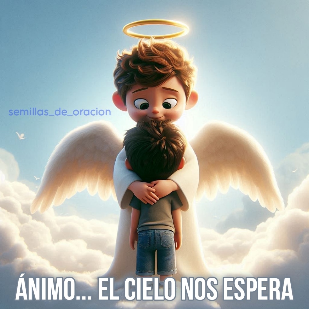 Semillasoracion's tweet photo. Dios nos regala un ángel de la guarda, que nos acompaña y logremos el sueño: llegar al cielo
#semillasdeoracion #angeldemiguarda #protección #meta #sueño #abrazo https://t.co/UATLEYu3LG