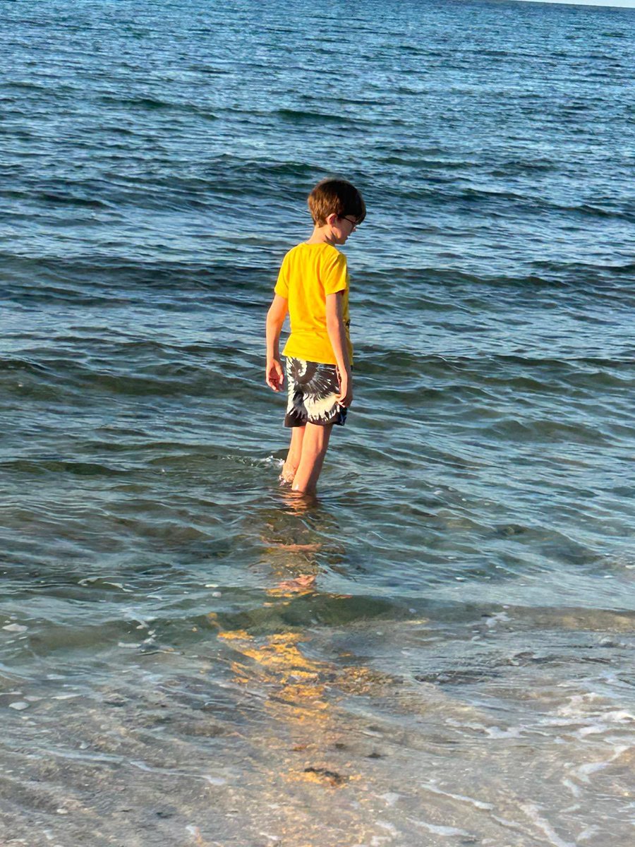 Simon Cook tweet media