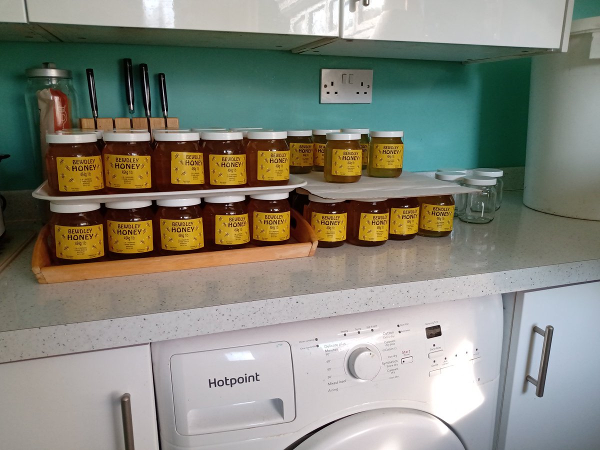 HopkinsLoi76052's tweet image. Preparing a bed, planting the seeds, watching them grow. Our bees visit the bed  daily and we have honey to sell. #SeedsForBees