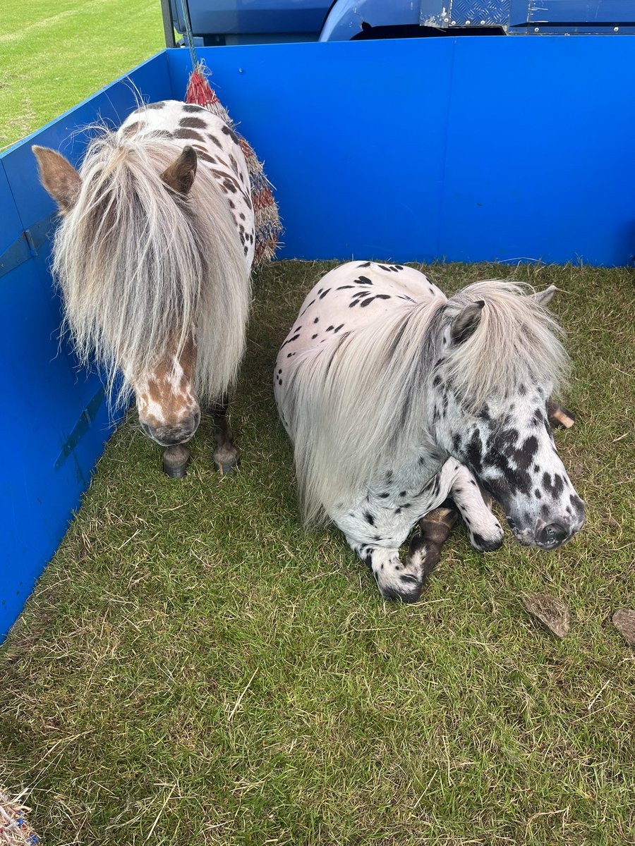 BCNewsletter's tweet image. Preparations for #Byfleetparishday about to open #summerfair #Byfleet