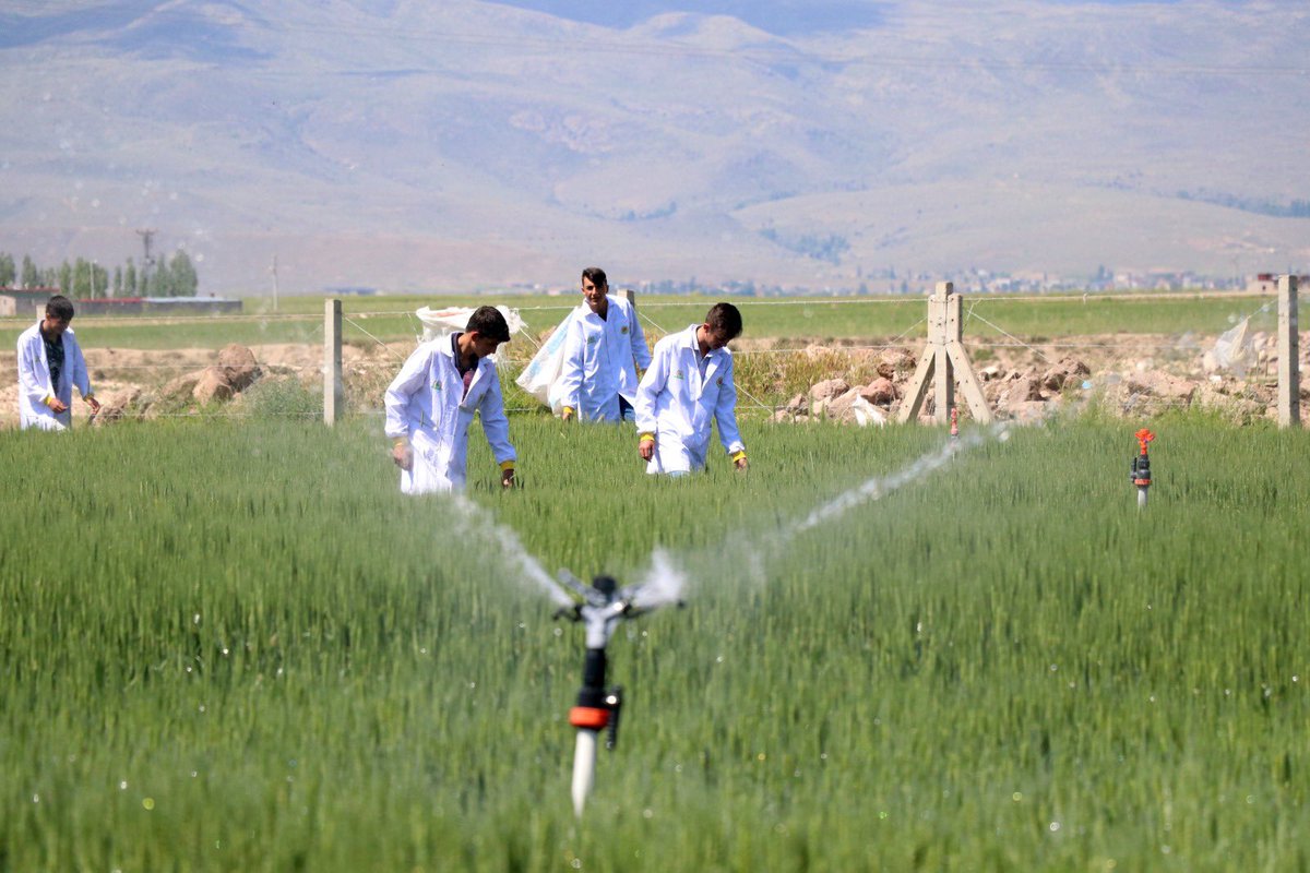 tcmeb's tweet photo. Tematik Tarım Meslek Lisesi Sayısı Yediye Ulaştı 🧑‍🌾🚜🌾

Türkiye’de tarım alanında nitelikli iş gücünün karşılanmasına destek olunması amacıyla altı ilde yedi tarım meslek lisesi açıldı. 

👉🏻 https://t.co/cvD100HASh https://t.co/pkWD4lPcE1
