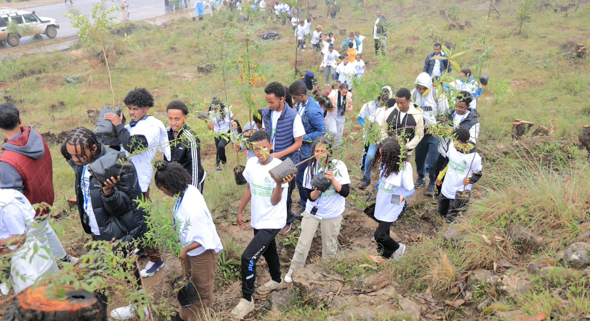 fanatelevision's tweet photo. Members of second generation #Ethiopia|n Diaspora plant tree seedlings in Chaka project, northeast of Addis Ababa 
https://t.co/4jCj9MMVQj https://t.co/M7l16021RV