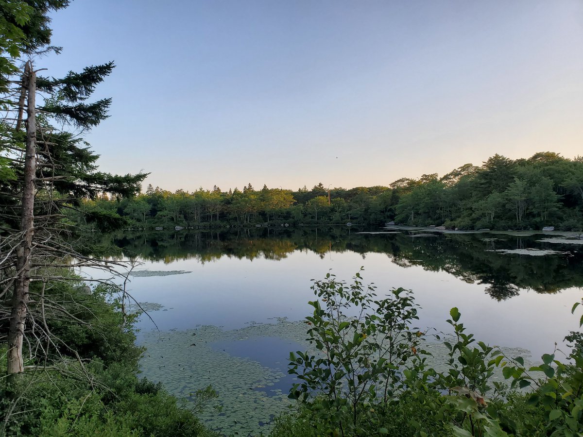 Micah Blake McCurdy tweet media