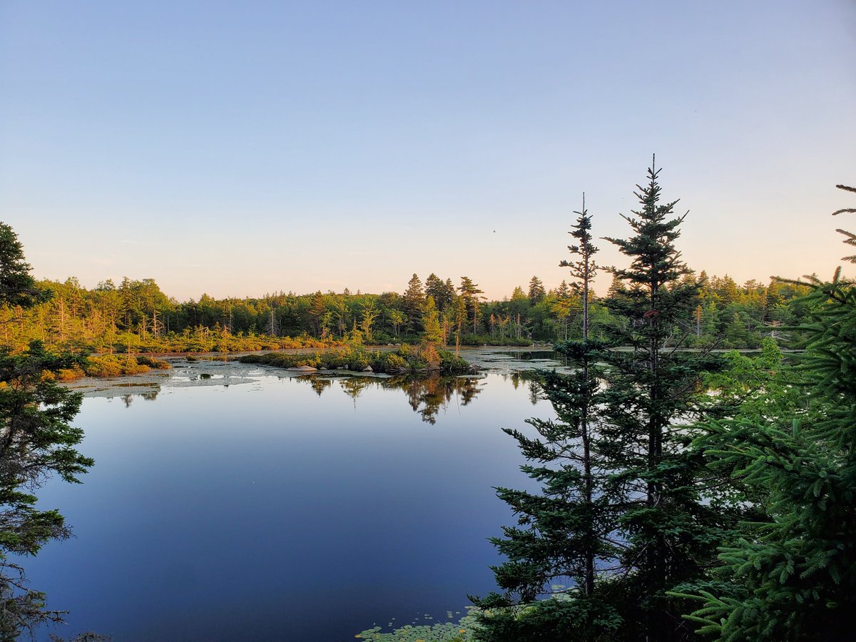 Micah Blake McCurdy tweet media