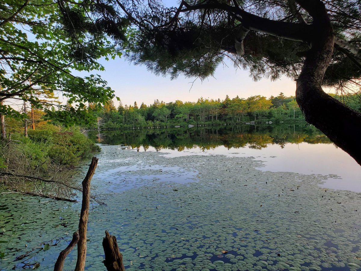 Micah Blake McCurdy tweet media