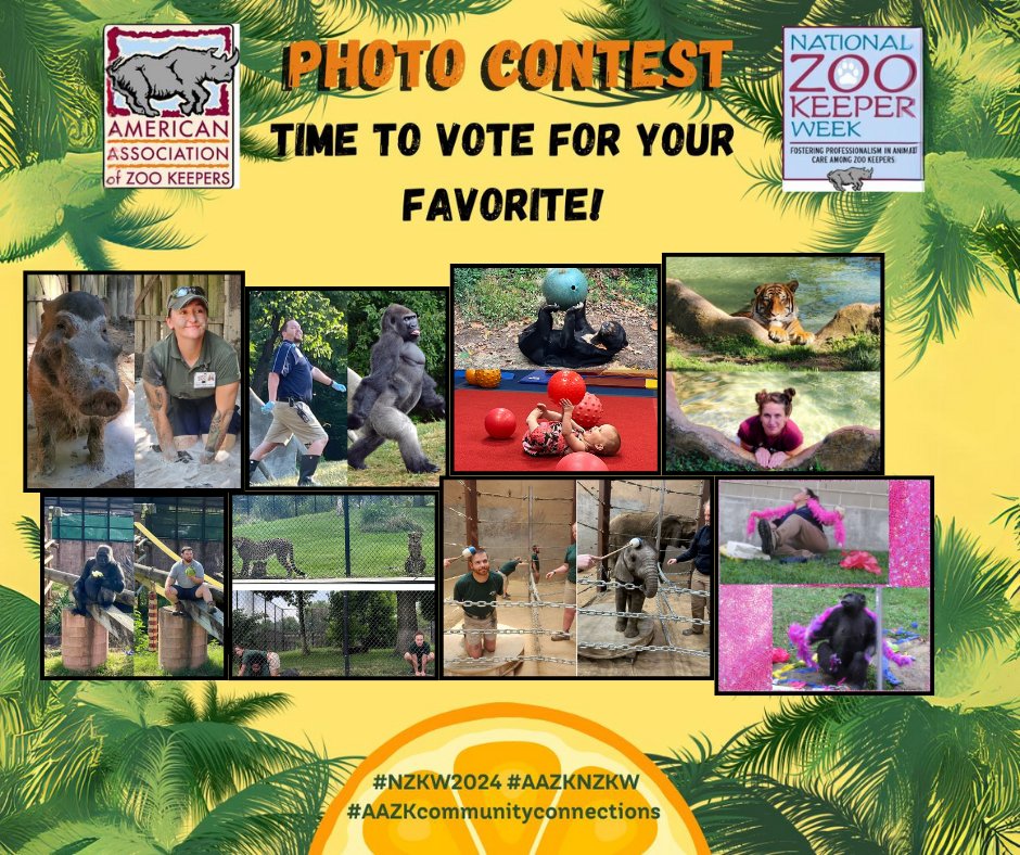 AAZK (@aazkinc) on Twitter photo Our top 8 photos are here for our #NZKW2024 photo contest! Please vote on our Facebook and Instagram stories every day starting tomorrow for your favorite! Our top 8 photos are here for our #NZKW2024 photo contest! Please vote on our Facebook and Instagram stories every day starting tomorrow for your favorite!