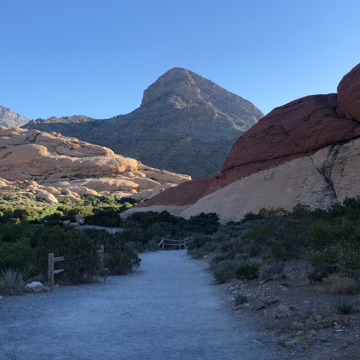 TravelingMooses's tweet photo. Red Rock Canyon never disappoints.

#calicotanks #hiking #vegas https://t.co/OJkN46X9YN