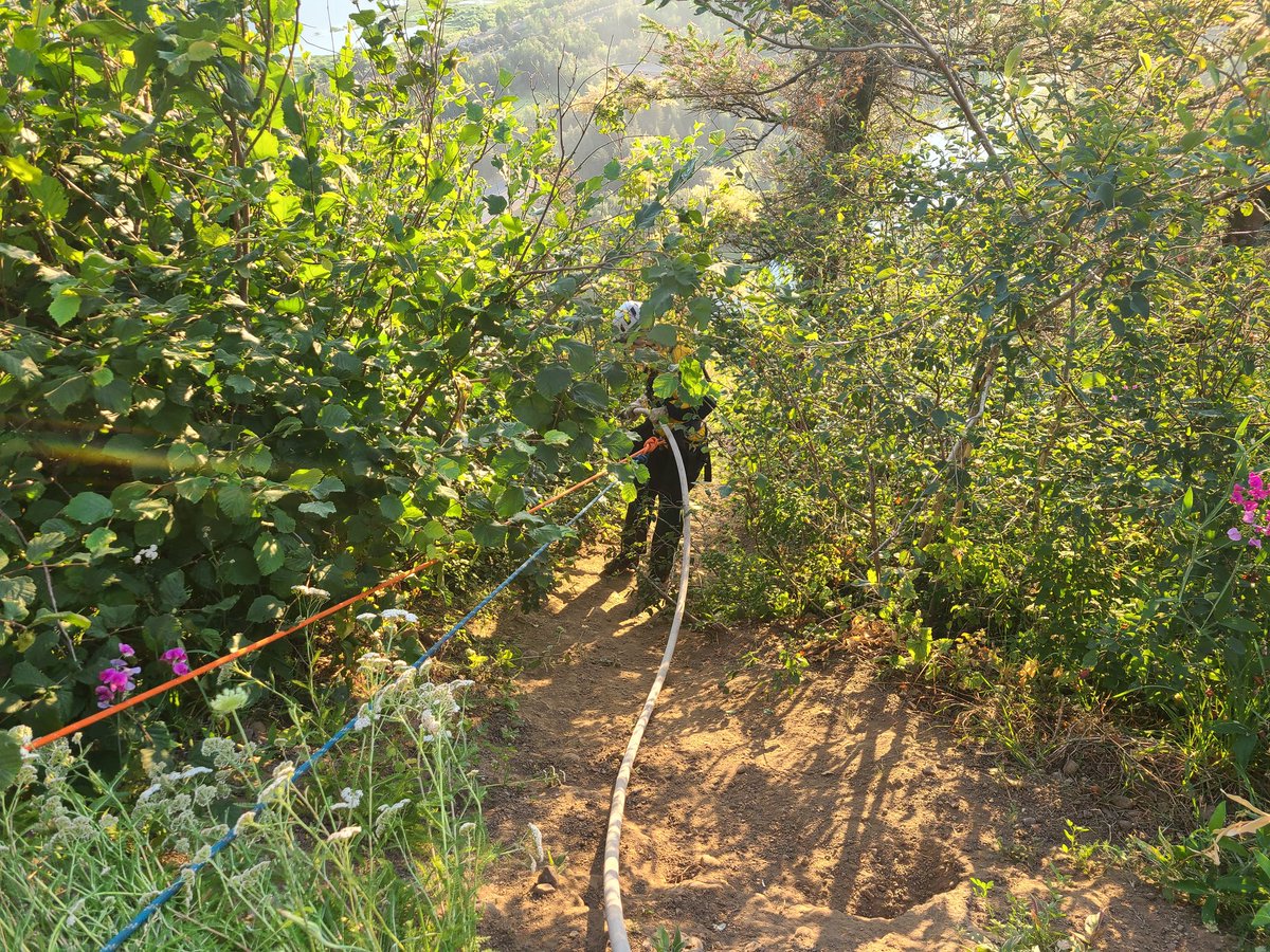 Corbett Fire tweet media