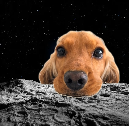 yumisoldog's tweet photo. $YUMI to the moon

9VBhKuR9DxDP1wQCi9MPFY5q8fkYb62CPUYpx4Gppump https://t.co/hMjWy1g3cT