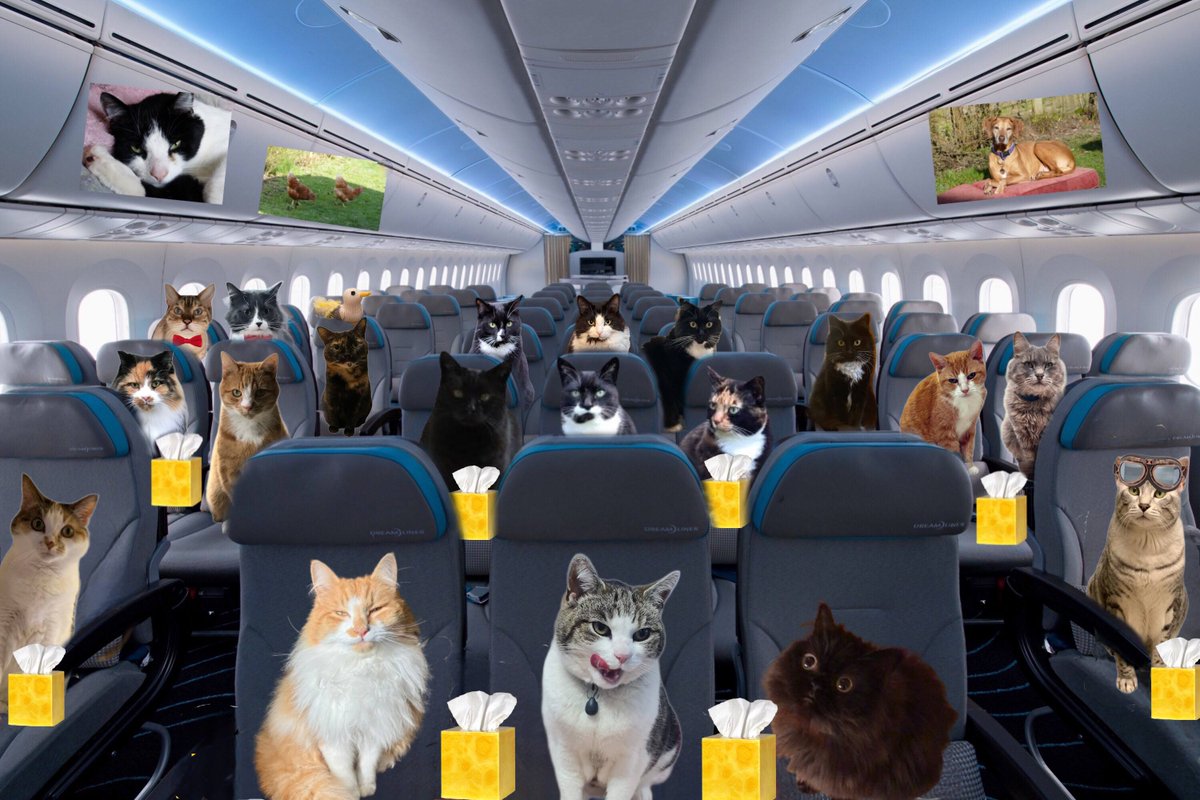 BungZipChoir's tweet photo. We are here flying the Beluga today as Zippy is flying in a Red Arrow as Flight Leader - We have checked over the plane and are getting our guests onboard now they have finished eating the delicious buffet #theAviators #Hedgewatch https://t.co/4b4qF5QRnv