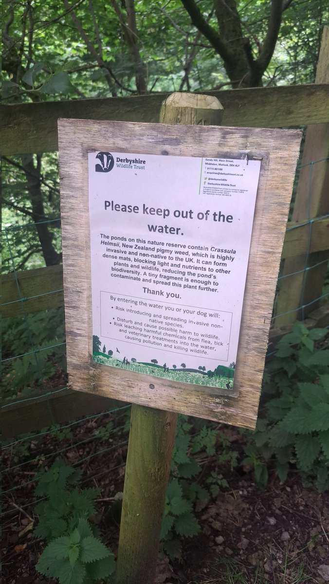 Alex Lees tweet media