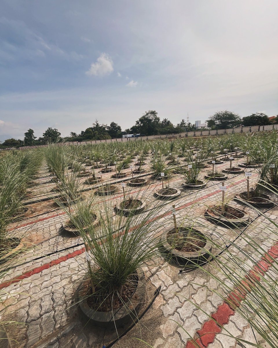 Claudio Fernandes, Ph. D. 🧬🌱 tweet media