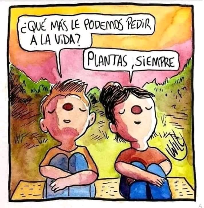 EcoInventos's tweet photo. Plantas siempre 💚 https://t.co/t2h0W1AlnJ