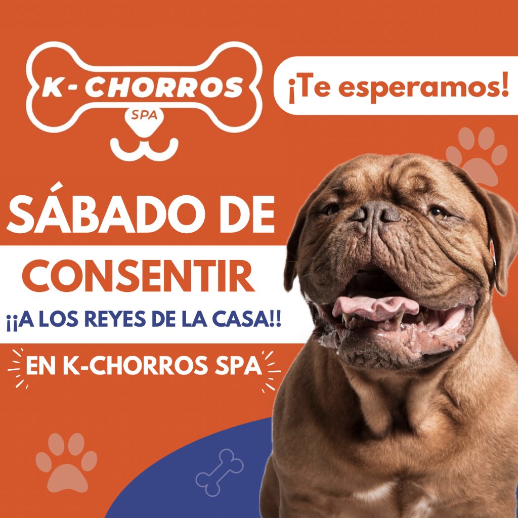 kchorrospa's tweet photo. ¡¡Feliz mañana!! ☀️🐶🛁

#Cctrigalsur
#Valencia #prebo #kromiexpress #Guataparo #guataparoexpress #centrocomercialguataparoexpress https://t.co/9Sn7fsxTKK