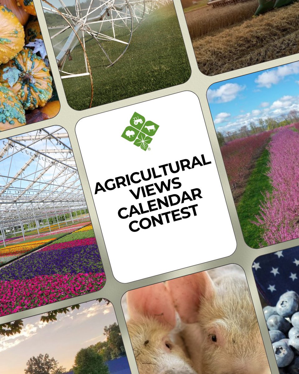 FCEast's tweet photo. There's only a few days left to submit photos for a chance to be featured in Farm Credit East's 2025 Agricultural Views calendar! Visit https://t.co/atTS4eNALc for more information and upload your photos by July 31. #AgriculturalViews #AgViews #MadeInAgriculture https://t.co/pEzL99t2rp