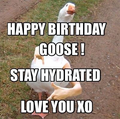 jsmuv_'s tweet photo. @gooseinthehood https://t.co/5bnD5er2i2