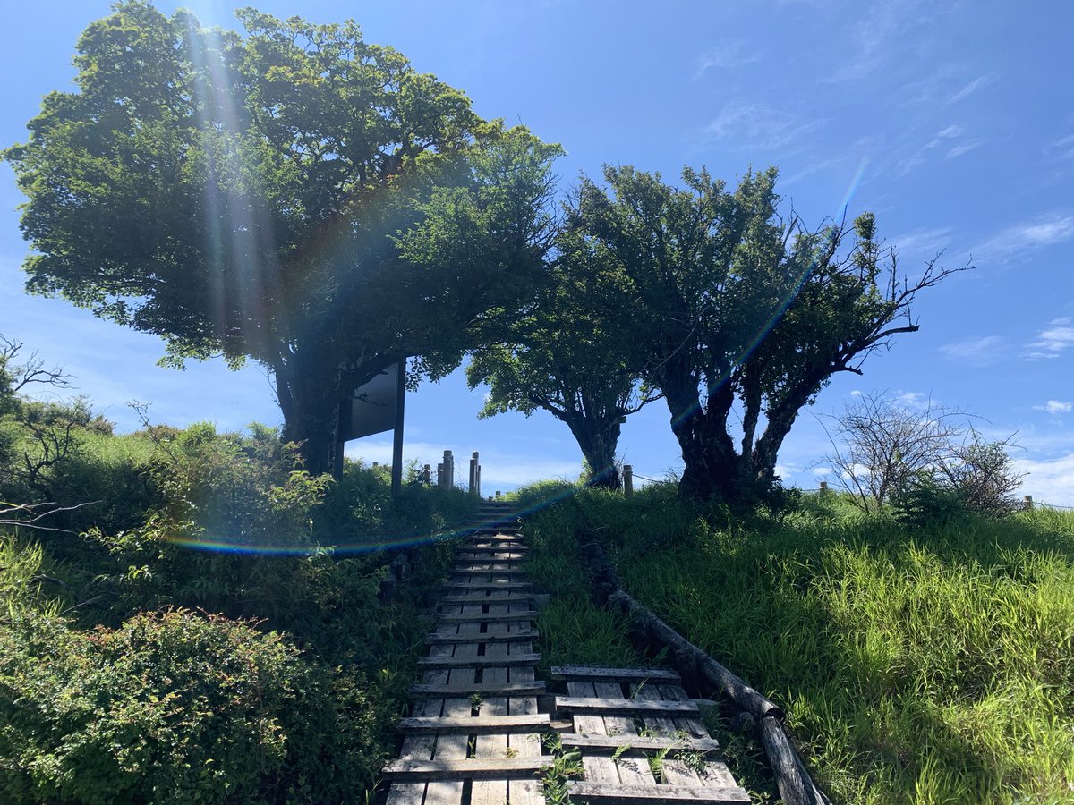 PsSeeker's tweet photo. Now that the rainy season has ended, I guess many hikers are rushing to the mountains. I’m also one of them and went to Mt. Hirugatake. The contrast between the blue sky and white clouds over the mountains was so impressive.
#蛭ヶ岳 #Hirugatake https://t.co/XUawCbbMWS