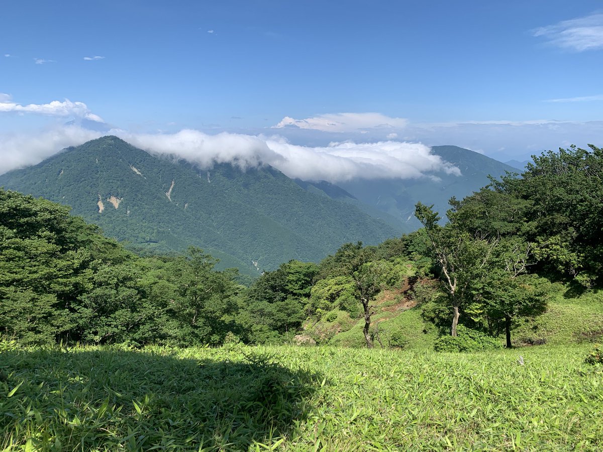 PsSeeker's tweet photo. Now that the rainy season has ended, I guess many hikers are rushing to the mountains. I’m also one of them and went to Mt. Hirugatake. The contrast between the blue sky and white clouds over the mountains was so impressive.
#蛭ヶ岳 #Hirugatake https://t.co/XUawCbbMWS