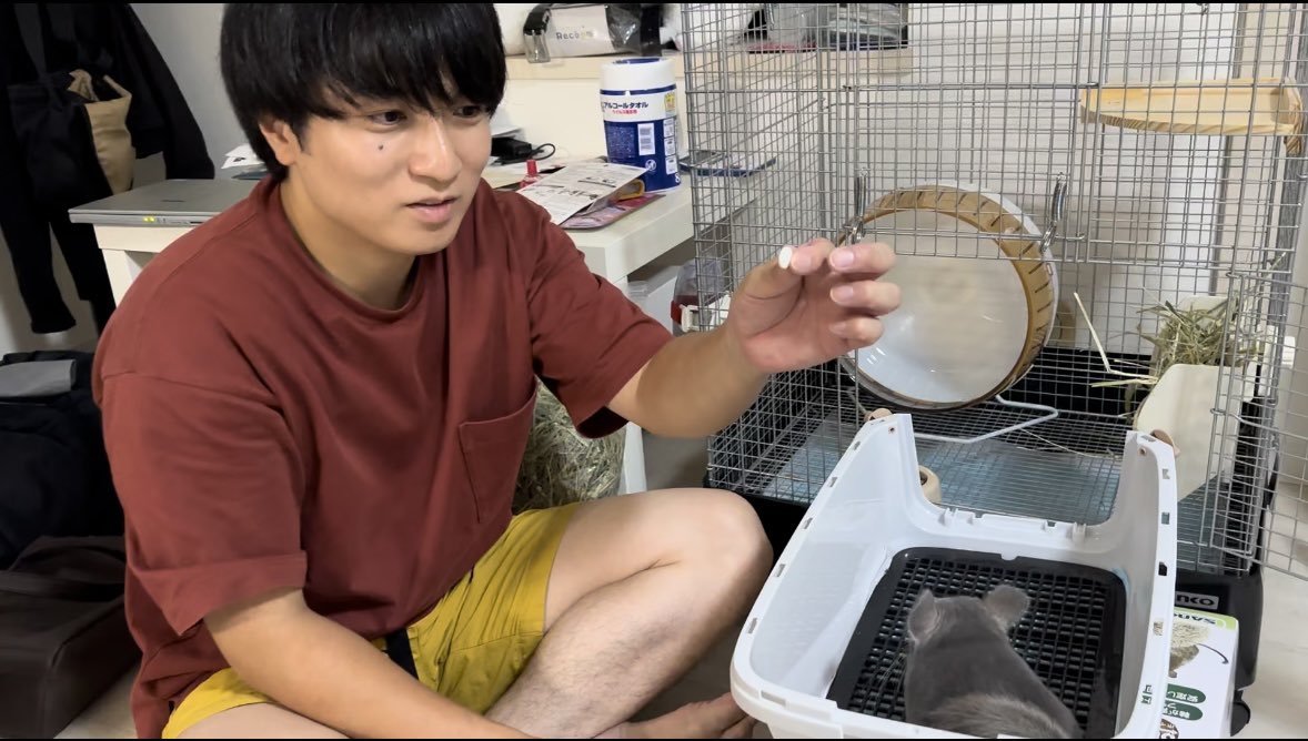 hitopippisan's tweet photo. お迎えしてから約1年。
いまだに主人に懐きません🤯
ご飯欲しい時だけ寄ってきます

#チンチラ
#動物
#ペット
#ペット好きと繋がりたい https://t.co/nHiqHbgsIf