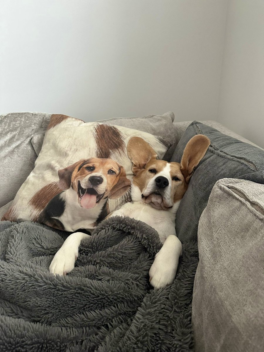 Jade Reeves tweet media