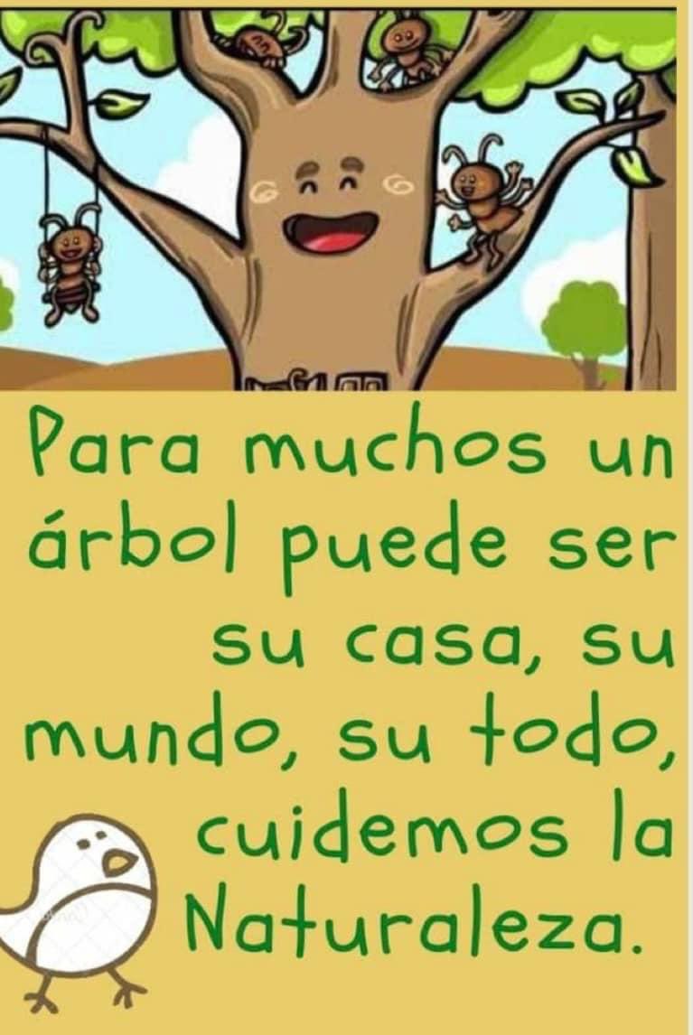 maxnaturaleza's tweet image. #talacero #planetaverde