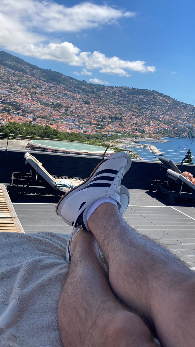 Shane Embleton tweet media