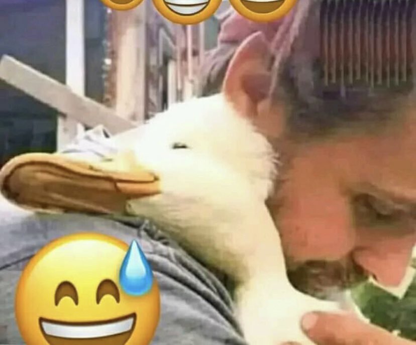 وتجي واحده تقول الرجاله مش حنينه ..
انتي اللي مش عارفه تبقي بطه 
😂😂