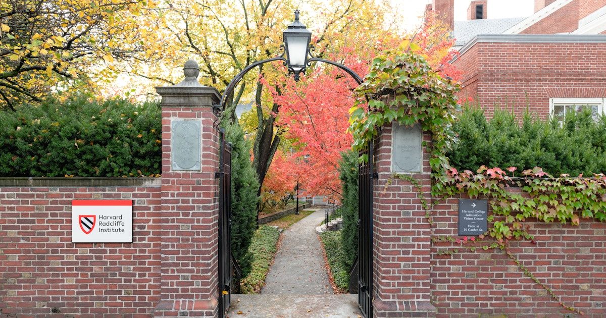 gijnAfrica's tweet photo. Fellowship Opportunity!

Journalists in Africa with at least five years of professional experience can apply for the @RadInstitute fellowship!

Benefits include stipends of up to US$78,000 and access to @Harvard offices and libraries.

Deadline Sept. 12. https://t.co/d3DuVGpSPQ https://t.co/915fK23SY6