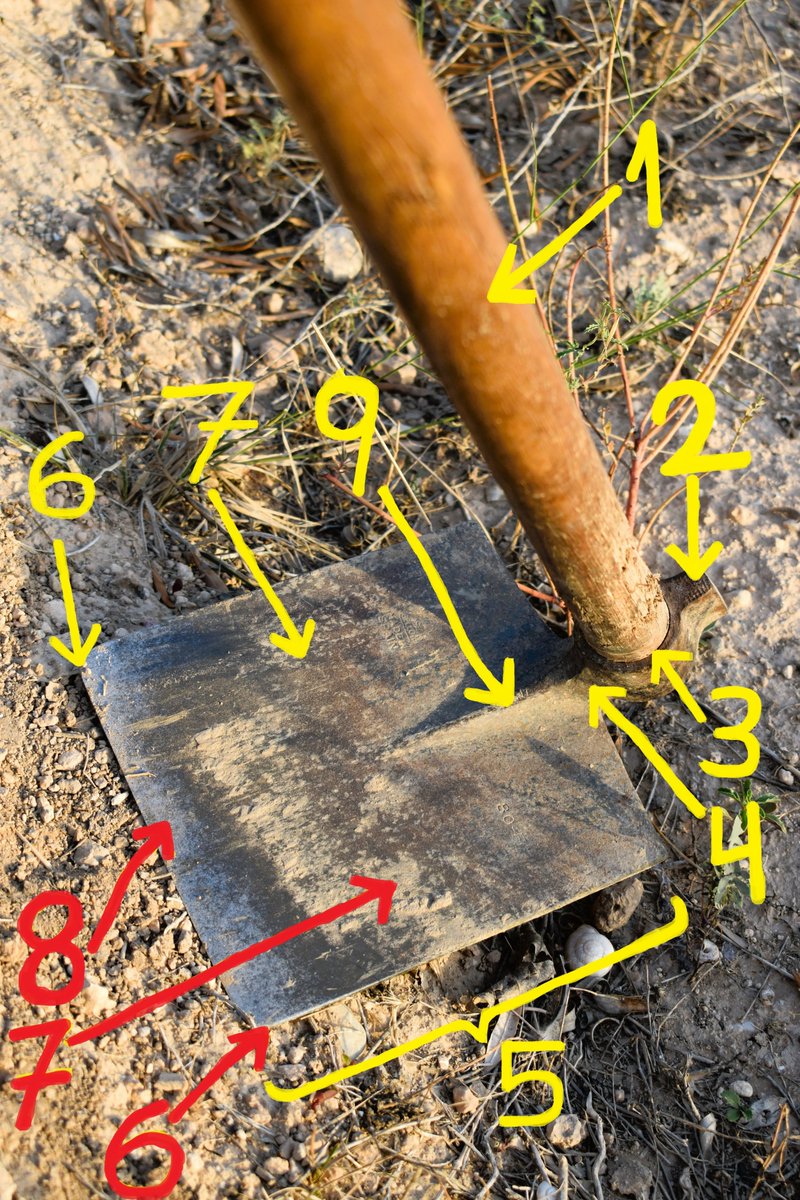 L'aixada.
1. Mànic
2. Matxo
3. Ull
4. Coll
5. Fulla
6. Gavilà
7. Galta
8. Boca
9. Nervit
