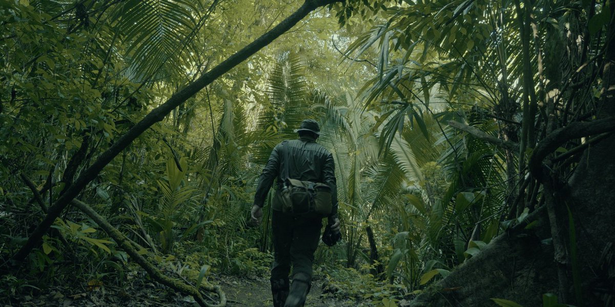 DailyStaley's tweet image. These wild places….